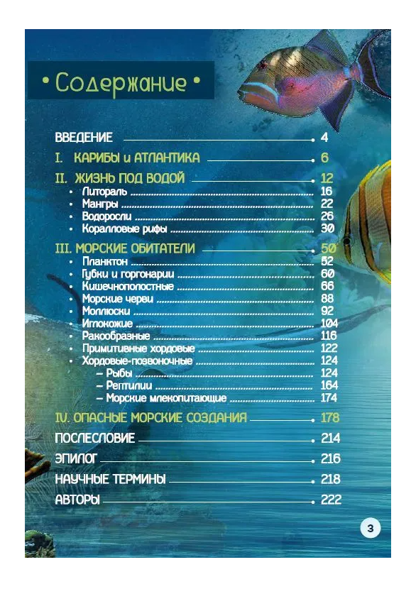 картинка Книга "Подводные чудеса Карибов" от магазина DivingWolf
