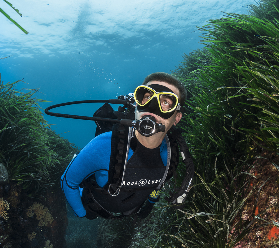 картинка Регулятор LEGEND LX ACD 2012 Aqua Lung от магазина DivingWolf