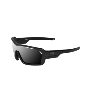 картинка Очки Ocean Chameleon чёрные/тёмные линзы от магазина DivingWolf