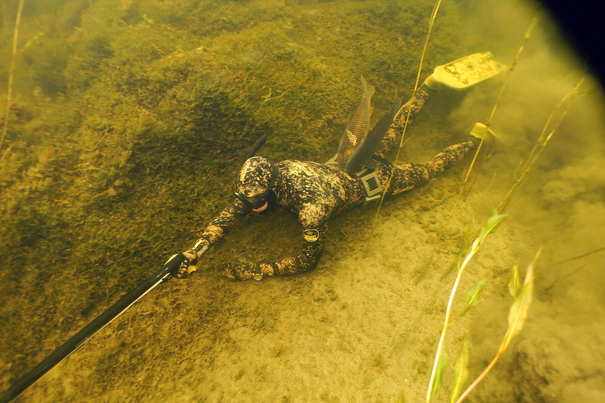 Подводная охота