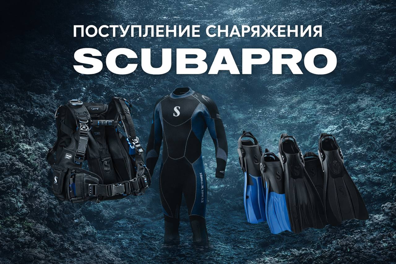 Поступление Scubapro в DivingWolf