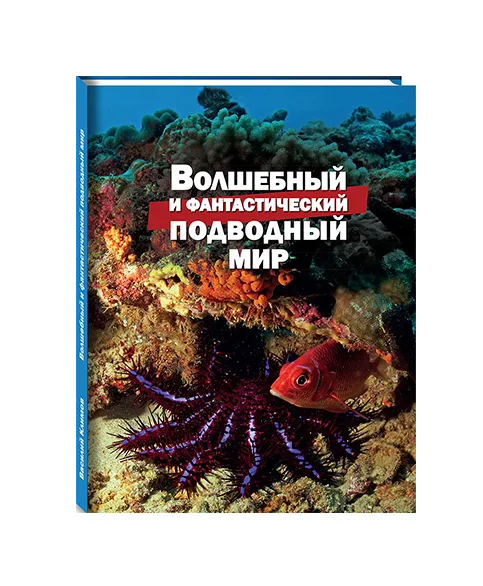 Книги и учебные пособия