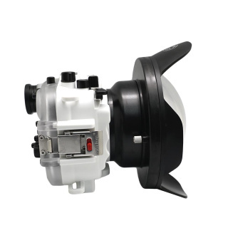 картинка Sea Frogs RX1xx Salted Line Series (White) + WDP155/67T2x подводный бокс для Sony RX100 серии от магазина DivingWolf