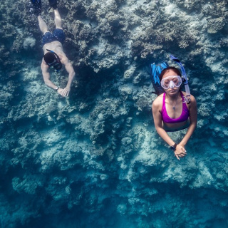 картинка Компьютер Suunto D4F для подводной охоты от магазина DivingWolf