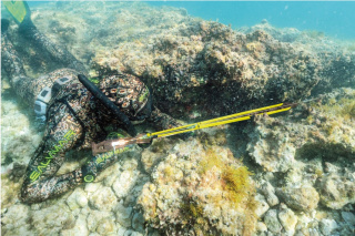 картинка Ружьё-арбалет Salvimar Metal Krypsis от магазина DivingWolf