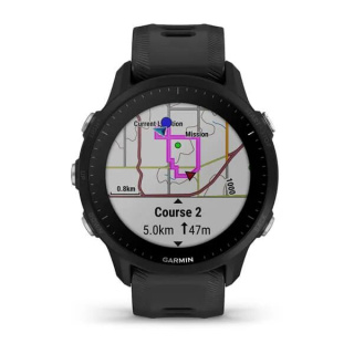 картинка Часы Garmin FORERUNNER 955 с черным ремешком от магазина DivingWolf