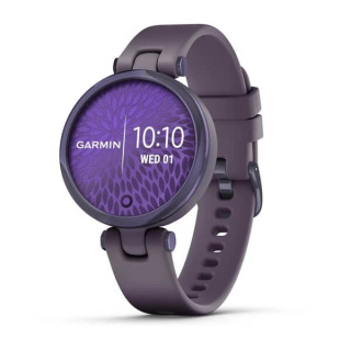 картинка Часы Garmin LILY безель цвета полночная орхидея, корпус темная орхидея и силиконовый ремешок от магазина DivingWolf