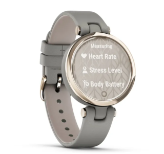 картинка Часы Garmin LILY Classic Edition Кремово-золотой безель с серым корпусом Braloba и итальянским кожаным ремешком от магазина DivingWolf