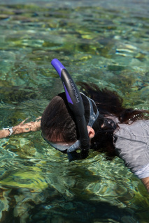 картинка Трубка Impulse 3 от магазина DivingWolf