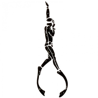 картинка Наклейка на авто (ассортименте) от магазина DivingWolf