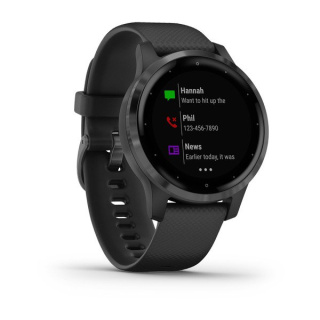 картинка Часы Garmin VIVOACTIVE 4S черные с серым безелем от магазина DivingWolf