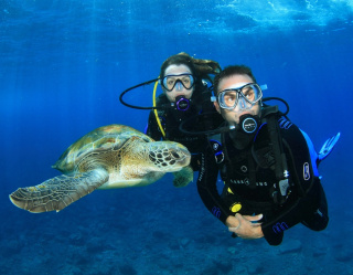 картинка Регулятор CORE ACD от магазина DivingWolf