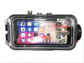 картинка Sea Frogs iPhone X Black для Apple iPhone X черный от магазина DivingWolf