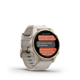 картинка Часы Garmin FENIX 8, 43 мм, AMOLED, Sapphire soft gold stainless steel with fog gray leather band plus fog gray/dark sandstone silicone band от магазина DivingWolf