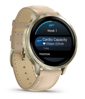 картинка Часы Garmin VENU 4  41 мм, Lunar Gold with Bоne Silicone Band, Light Sand Leather Band от магазина DivingWolf