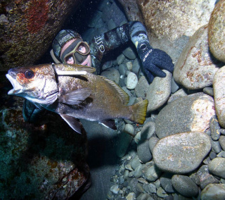 картинка Перчатки AQUASTRETCH 4mm O.M.E.R. от магазина DivingWolf