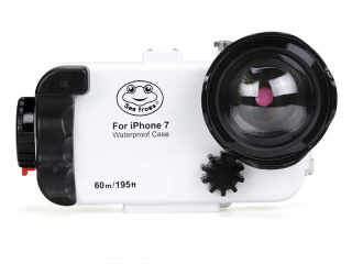 картинка Sea Frogs iPhone 7/8 white для Apple iPhone 7/8 от магазина DivingWolf