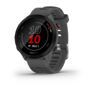 картинка Часы Garmin FORERUNNER 55 серые от магазина DivingWolf