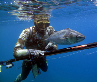 картинка Разгрузочная сбруя O.M.E.R. от магазина DivingWolf